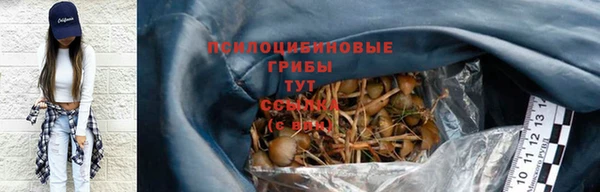 шишки Армянск
