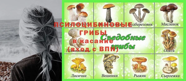 шишки Армянск
