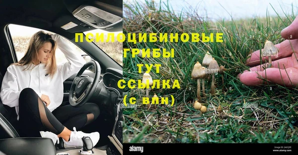 бутират Семёнов